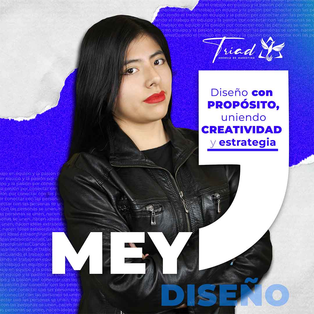 perfil2