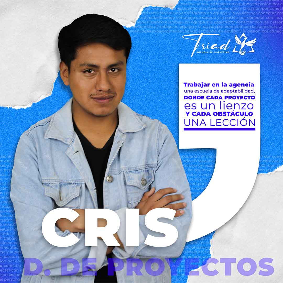 perfil6